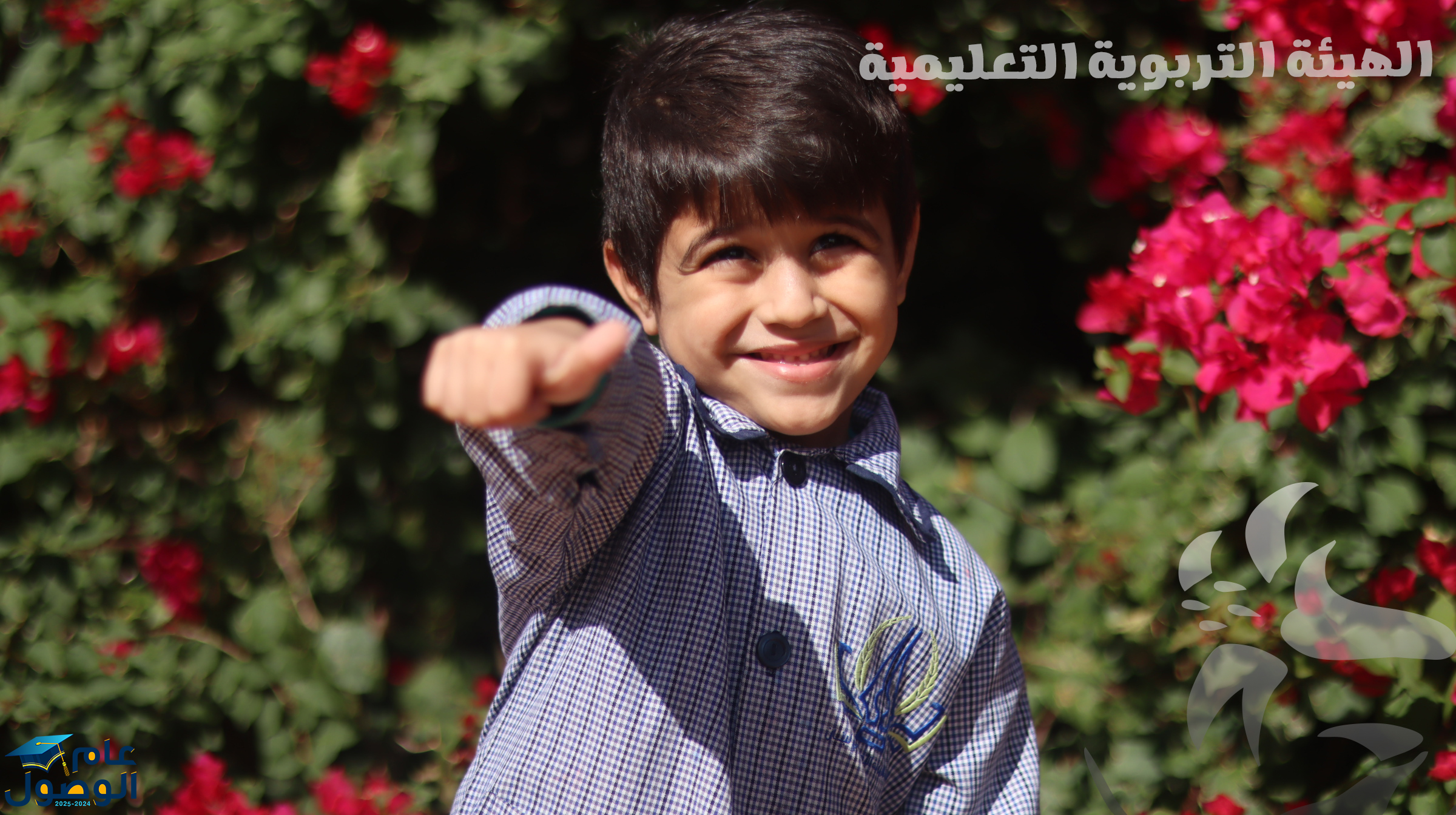    البومات الصور  